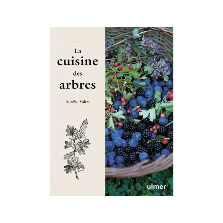 Livre La cuisine des arbres aux Éditions Ulmer - 141 pages