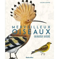 Livre "Oiseaux grandeur nature" aux Éditions Rustica
