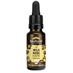Élixir n°37 Biofloral d’églantier en flacon de 20 ml