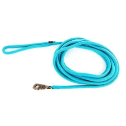 Longe ronde pour chien coloris turquoise 1,3 cm x 5 m