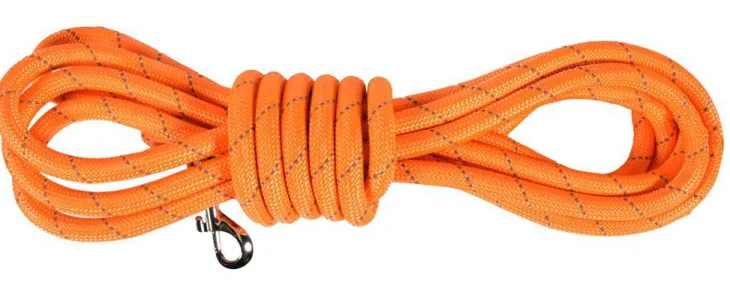 Longe ronde pour chien coloris orange Bobby Walk – 10 mètres