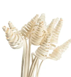 Lot de 10 cônes de canne naturel artificielles coloris beige - 45 à 55 cm