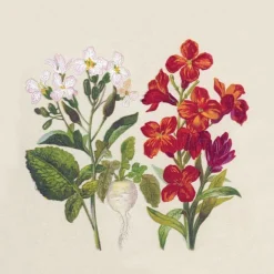 Lot de 25 serviettes 2 plis Botanical coloris multicolore en papier recyclé - 25 x 25 cm