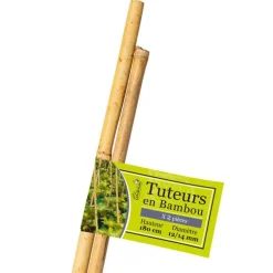 Lot de 2 tuteurs coloris bois en bambou - 180 cm