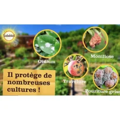 Maladies Polyvalent Spray 750 ml