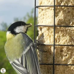 Mangeoire tube pour boules de graisse