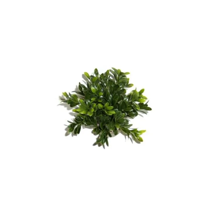 Massif rond coloré vert en plastique 10 x 15 cm