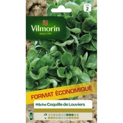 Mâche Coquille de Louviers Vilmorin - graines à semer