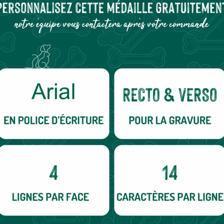 Médaille basic grand os pour chien en laiton doré