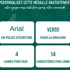 Médaille bronx grand os pour chien décoration pyramides en métal