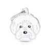 Médaille friends pour bichon bolonais en métal