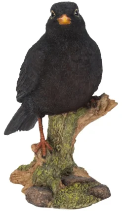 Merle noir en résine Riviera - 16 cm