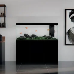 Meuble aquarium noir, robuste et durable - CIANO Emotions Pro 150 - 150 cm