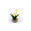 Mini massif de fleurs blanches en plastique 10 cm