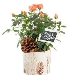 Mini rosier pot céramique décor sous-bois - Ø 12 cm