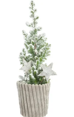 Mini sapin effet givre en cache-pot effet velours côtelé – Ø 10 cm