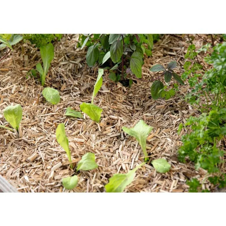 Miscanthus botanic® - 125 L