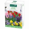 Mélange balcon et terrasse botanic® - 40 bulbes