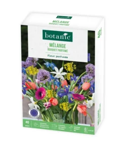 Mélange bouquet parfumé botanic® - 40 bulbes
