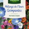 Mélange de fleurs grimpantes Vilmorin - graines à semer pour 4 m² de surface