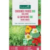 Mélange de graines chicoree frisée wallone bio et de capucine naine variée bio botanic® - graines à semer