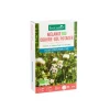 Mélange de graines couvre-sol pour potager bio botanic® - graines à semer (30 m²)