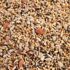 Mélange de graines pour oiseaux 4 saisons 2 kg