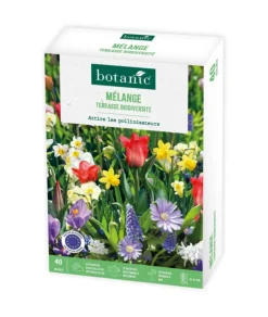 Mélange terrasse biodiversité botanic® - 40 bulbes