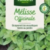 Mélisse officinale Vilmorin - graines à semer