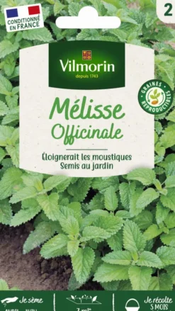 Mélisse officinale Vilmorin - graines à semer