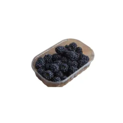 Mûres bio de France - Barquette de 125 g