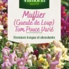 Muflier Gueule de loup Tom Pouce Varié Vilmorin - graines à semer