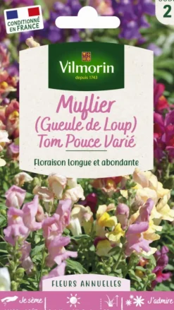 Muflier Gueule de loup Tom Pouce Varié Vilmorin - graines à semer