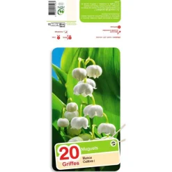 Muguet blanc x 20 griffes calibre 1