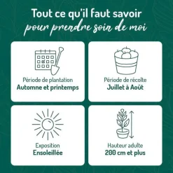 Murier Dirksen Bio. Le pot de 2 litres