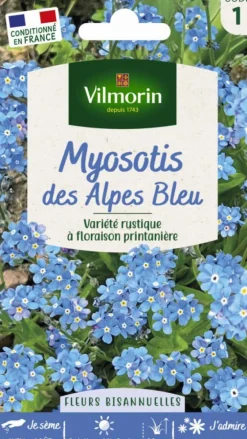 Myosotis des Alpes bleu Vilmorin - graines à semer