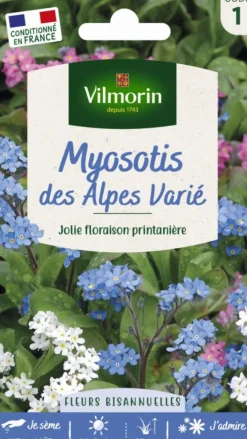 Myosotis des Alpes Varié Vilmorin - graines à semer