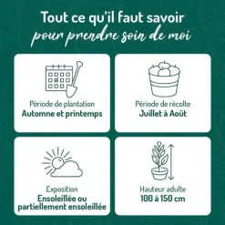 Myrtille Brigitta Blue Bio. Le pot de 2 litres