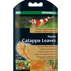 Nano feuilles de Catappa