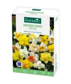 Narcisse en mélange botanic® - 15 bulbes