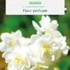 Narcisse pluriflore botanic® - 9 bulbes