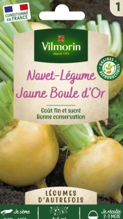 Navet Jaune Boule d'Or Vilmorin - graines à semer