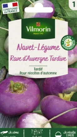 Navet Rave d'Auvergne tardif Vilmorin - graines à semer