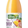 Nectar bio mangue goyave et citron vert Vitamont – 75 cl