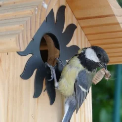 Nichoir la couveuse pour mésanges charbonnières en bois 20 x 22 x 28cm