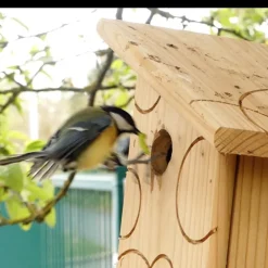 Nichoir la fiesta pour mésanges charbonnières en bois 20 x 22 x 28 cm