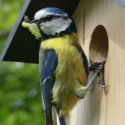 Nichoir Le nid douillet - Ouverture Ø 28 mm