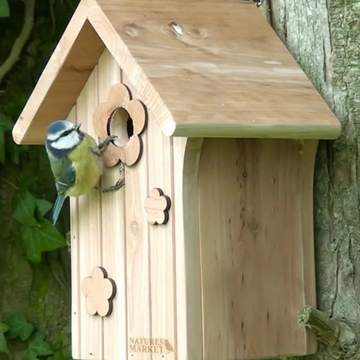 Nichoir le poupon pour mésanges bleues en bois 19 x 16 x 26 cm