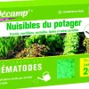 Nématodes contre nuisibles du potager 20 m2