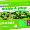 Nématodes contre nuisibles du potager 40 m2